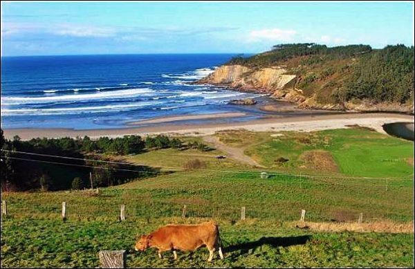 Playa de Cueva, Valdés