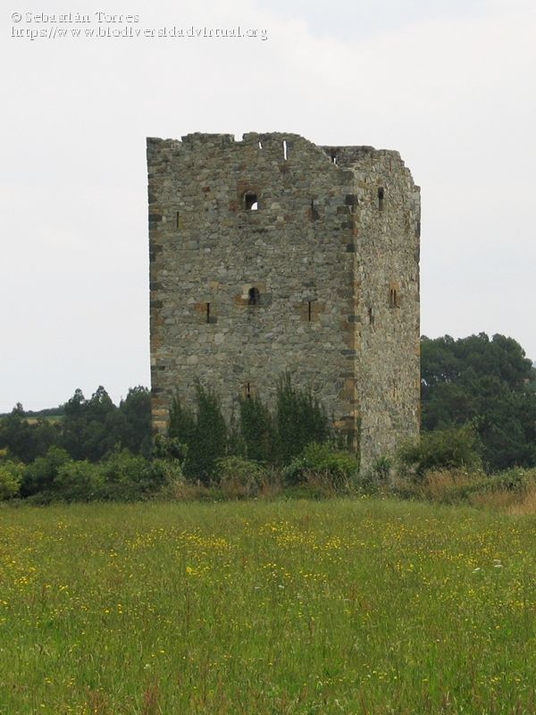 Torre de defensa mediaval