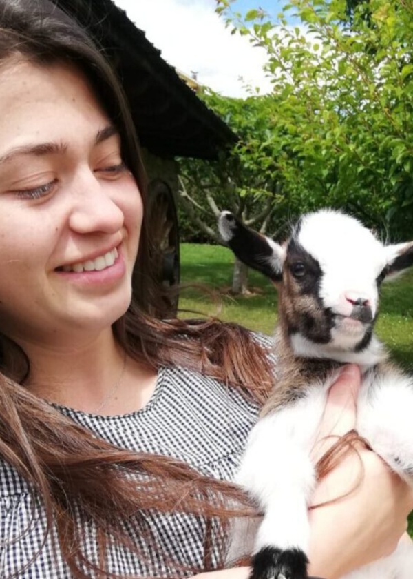 Apartamentos Rurales La Torre en Asturias, proyecto de agroturismo