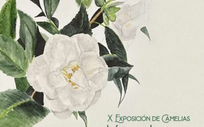 X Exposición de la Camelia “Villa de Luarca”