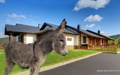 Agroturismo, en Apartamentos Rurales La Torre